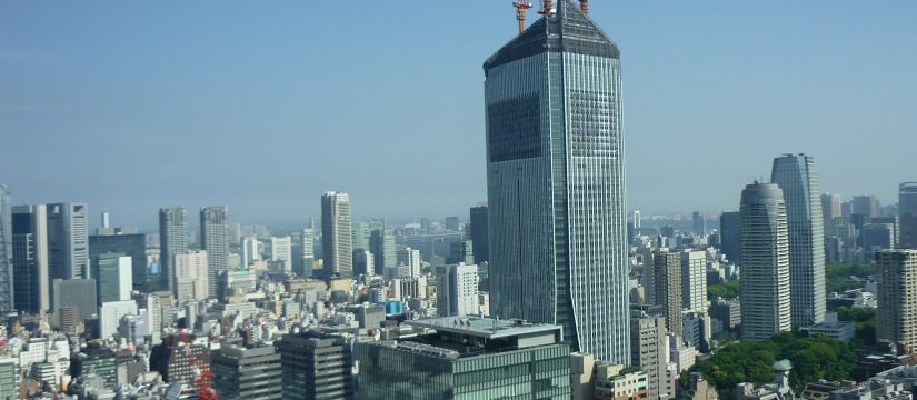 p1010599.jpg