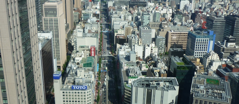 p1010600.jpg